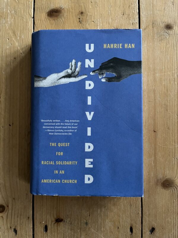 Photo of cover of book - Undivided by Hahrie Han